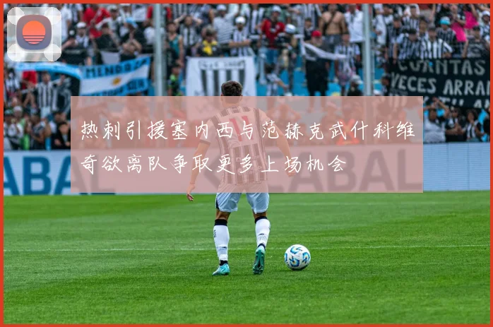 热刺引援塞内西与范赫克武什科维奇欲离队争取更多上场机会